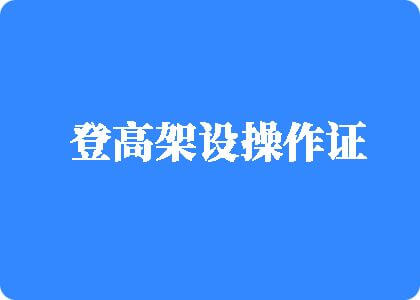 逼逼,com登高架设操作证